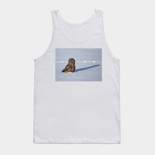 Great Grey Owl casts a long shadow Tank Top